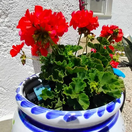La Musica Apartamento
