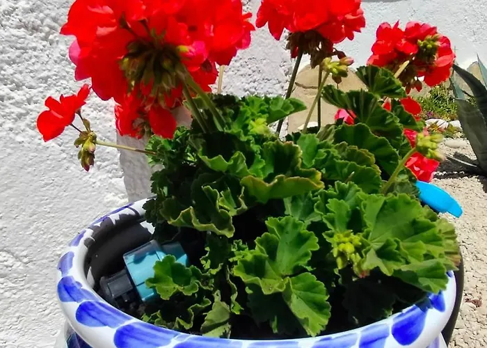 La Musica Apartamento