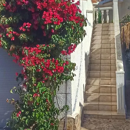 Apartmán La Musica Calpe