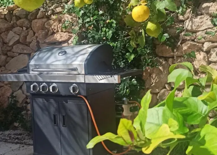 La Musica * 卡尔佩